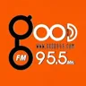 Good 95.5